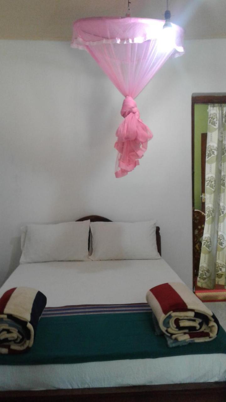אלה Peters Inn מראה חיצוני תמונה
